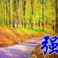 书友1278054227的头像