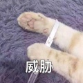 书友933614299的头像