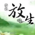 放生发大财的头像