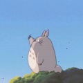 蓝天的头像