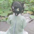 小静🕊的头像