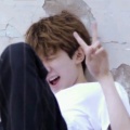书友1088479797的头像