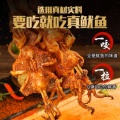 铁板鱿鱼的头像