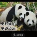 矮小的将军在扎马步的头像
