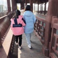 柔骨魅兔小舞的头像