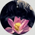 书友397589059的头像