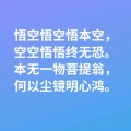 悠幽幻澜的头像