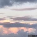 A1的头像