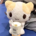 十七年冬的头像