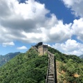 刘影的头像