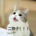 妙常的头像