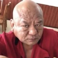 狼总的头像