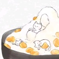 姜糖的头像