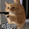 兔子抱紧胡萝卜的头像