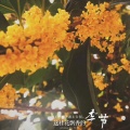 书友771787749的头像