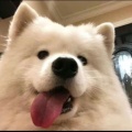 大爷的头像