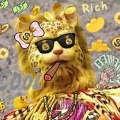 生产队队长的头像