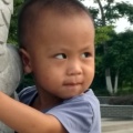 书友505375349的头像