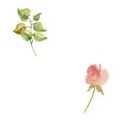 BeginAgain.的头像