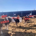 书友 3099955674的头像