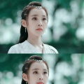书友588664393的头像