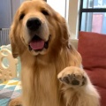 书友932282707的头像
