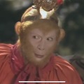 滴不sei克的头像