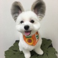 小妖精的头像
