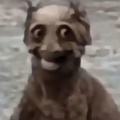 白夜猫的头像