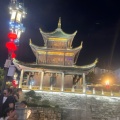 牵着骆驼骑驴找马的头像