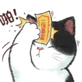 九州的头像