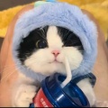 亦谷峰的头像