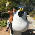 书友989031023的头像