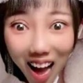 小灰灰的头像