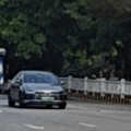 小梦同学的头像