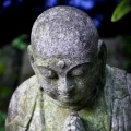 士子的头像