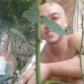 入四奔五的头像