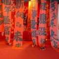 不懂先生的头像