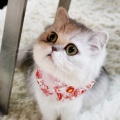 书友1157594240的头像