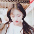 穿秋裤的Fox的头像