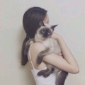 收下你的猫的头像