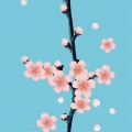 七叶一枝花的头像
