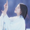 南城的头像