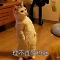 书友843974141的头像