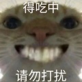 看p啊的头像