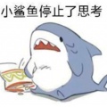 追梦最萌的头像