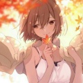 Sophia的头像