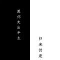 低电的头像
