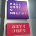 龙头脑筋的头像