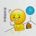 天空蓝的情调的头像